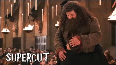 Hagrid est un demi g&eacute;ant :