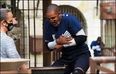 Combien de fois participe-t-il &agrave; "Fort Boyard" ?