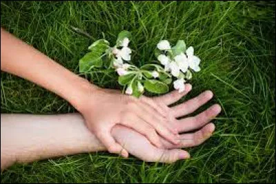 Quelle émission de téléréalité Karine Marchand anime-t-elle ?