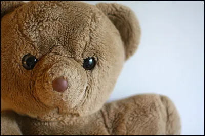 Quel est ton animal préféré ?