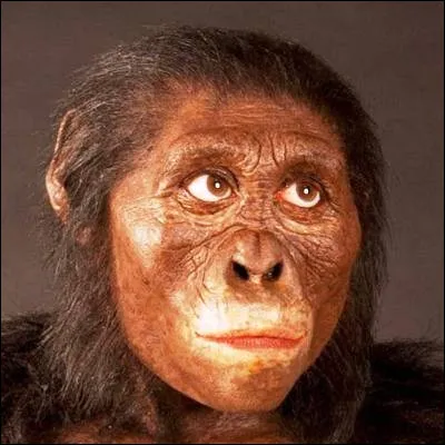 Quel pal&eacute;ontologue fran&ccedil;ais, ancien professeur au Coll&egrave;ge de France, dirigeait l�&eacute;quipe qui a d&eacute;couvert l�australopith&egrave;que Lucy ?