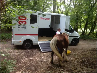 Quel est ce type de camion ?