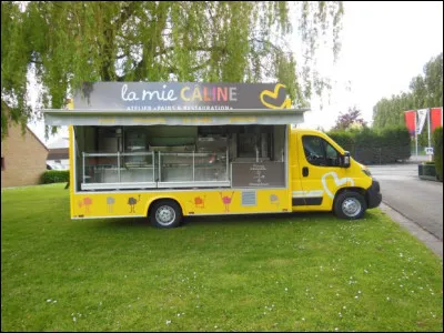 Quel est ce type de camion ?