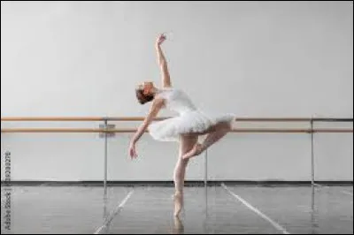 Quel est ce métier ?