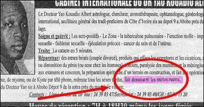 Rongeur d'Amérique du Sud, voisin du chinchilla !