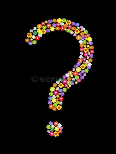 Maintenant que vais-je faire ? Je reviens te chercher, viens danser, il est plus tard que tu ne penses ! Je suis...