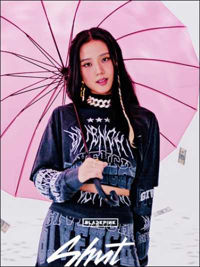 Quelle membre est représentée sur cette photo tirée du M/V de "Shut down" ?