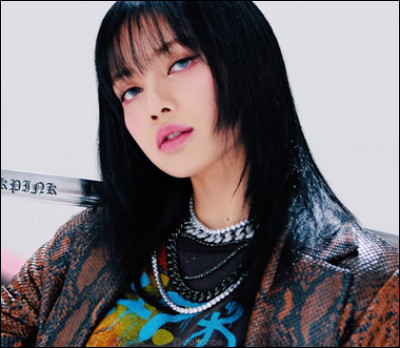 Quelle membre est représentée sur cette photo tirée du M/V de "Shut down" ?