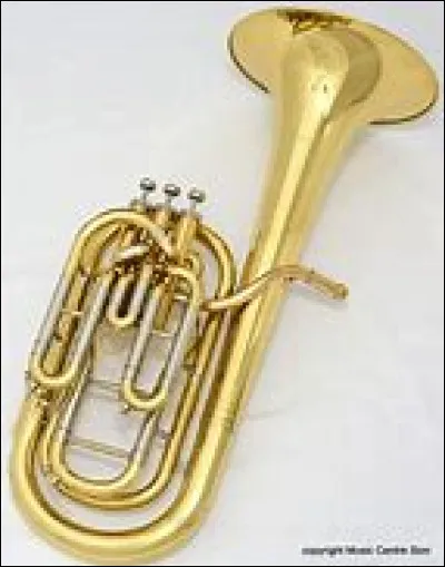 Quel est cet instrument ?