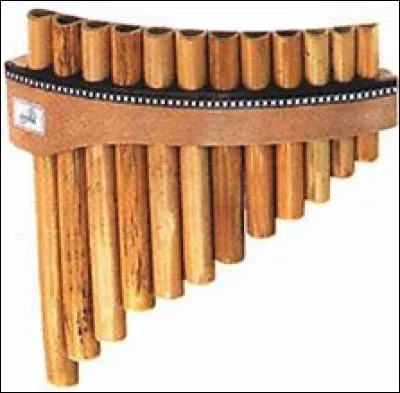 Quel est cet instrument ?