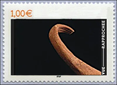 À quelle oeuvre appartient ce fragment ?