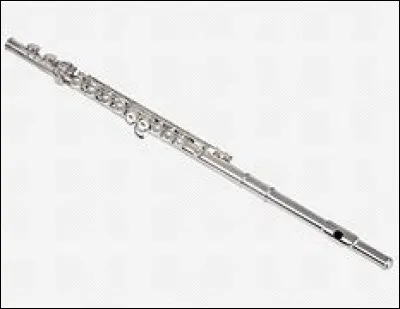 Quel est cet instrument ?