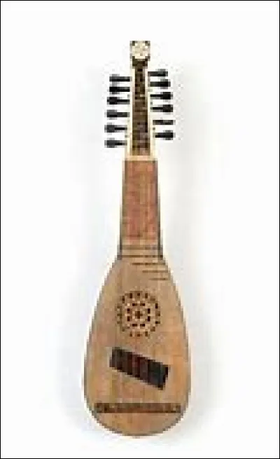 Quel est cet instrument ?