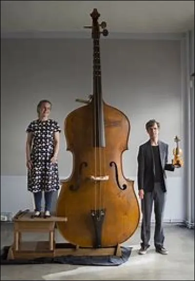 Quel est cet instrument ?