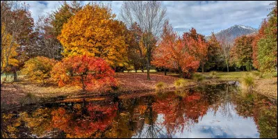 À quel chanteur faut-il attribuer la chanson "Octobre" ?