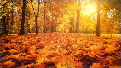 À quel poète doit-on les vers "Les sanglots longs de l'automne bercent mon cur d'une langueur monotone" ?