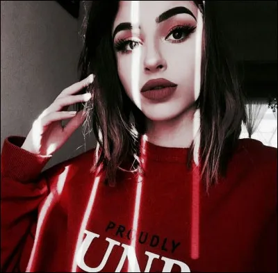 Tu appelles ta pote et elle te dit qu'un réseau social a disparu. Quand tu apprends qu'il n'existe plus, tu t’effondres. Quel est ce réseau ?