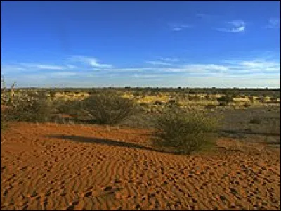 K comme Kalahari : quels sont les deux pays sur lesquels s'étend principalement le désert du Kalahari ?
