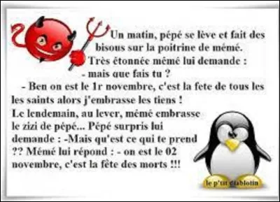 Histoire : 
Répandu en France réellement depuis l'armistice de 1918 pour fleurir les tombes de nos soldats morts durant la Première Guerre mondiale, le chrysanthème a vraiment commencé à orner les tombes de nos chers défunts à la Toussaint au milieu du XIXe. Auparavant que mettaient nos anciens, principalement, sur les sépultures de leurs proches ?