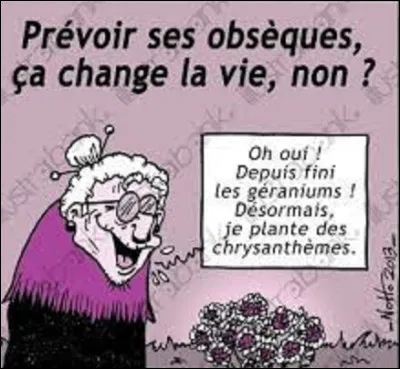 Plante : 
Quelle couleur de chrysanthème est associée au chagrin et à la mort ?