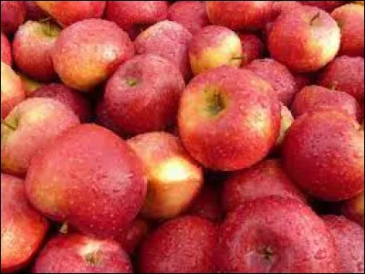 Ce fruit créé en 1979 doit son nom à un vol inaugural ayant eu lieu la même année. Lequel ?