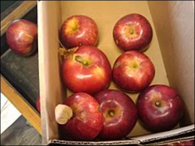 Cette pomme doit son nom à un fermier canadien qui la découvrit en 1811 puis la cultiva. On la connaît en Europe depuis le début des années 1930.
Cela étant, c'est aussi le nom d'une famille d'ordinateurs.