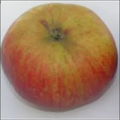 Si je vous dis qu'une pomme porte le nom d'un Suédois et d'un personnage joué par Stallone, vous me répondez [...] c'est simplement du délire !