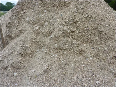 Le drenne &eacute;tait le nom vulgaire d'une esp&egrave;ce de...