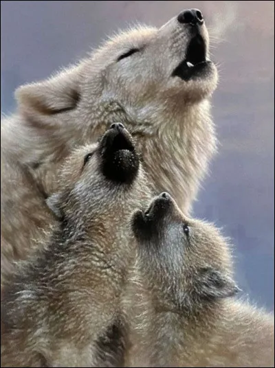 Quel animal se serait, selon la légende, occupé des jumeaux Rémus et Romulus ?