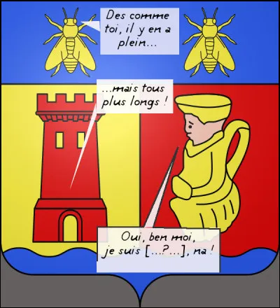 Il est vrai que ça ne court pas les rues. Quelle est cette commune ?