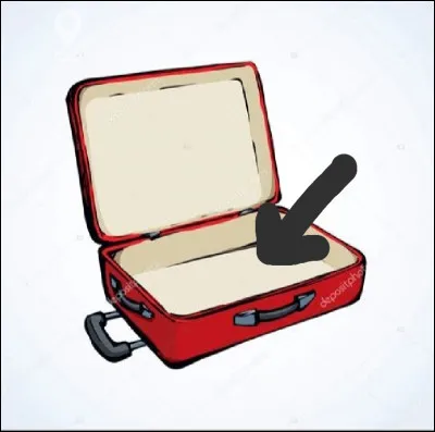 Si vous étiez un espion, dans cette valise, il y aurait :