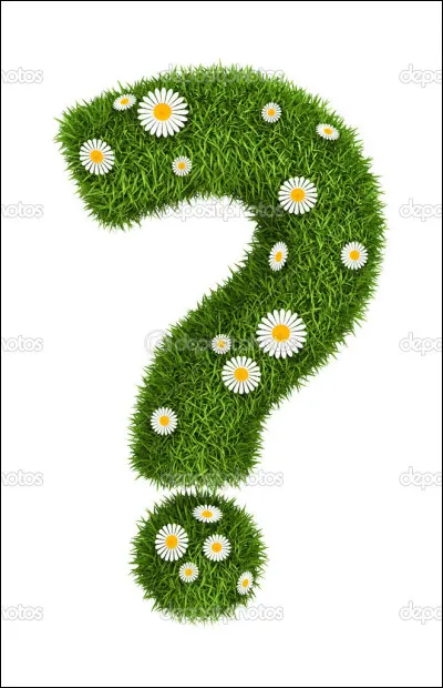 J'ai légué les trois quarts de mon héritage à Octave, mon plat préféré est la blanquette de veau, surtout cuisinée par ma femme, j'ai enfin pris deux ans de vacances !