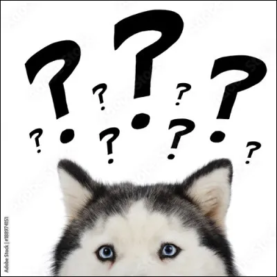 J'ai été un Jules légendaire, je suis fier de ma race car je suis du Jura, et enfin je suis juge !