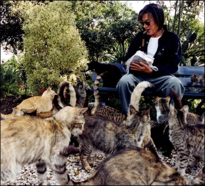 Sur quelle île le chanteur Jacques Dutronc possède-t-il une maison où il vit avec ses nombreux chats ?