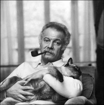 Dans une chanson de Georges Brassens, quelle jeune femme "donne la gougoutte à son chat" ?