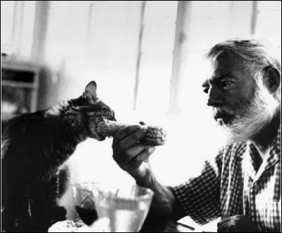 Quelle était la particularité physique des chats de l'écrivain américain Ernest Hemingway, qui peuplaient sa maison de Key West ?