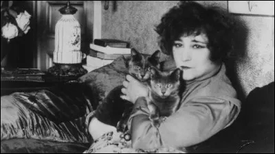 Dans quel roman, paru en 1933, l'écrivaine Colette s'inspire-t-elle de sa passion pour les chats pour décrire la relation d'amour entre un homme et son animal de compagnie ?