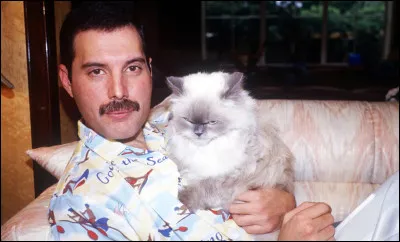 Quelle chanson de Freddie Mercury, qui adorait les félins, a été reprise par des chats dans une vidéo créée en 2021 ?