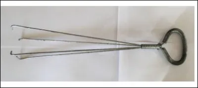 Et cette espèce d'araignée à longues pattes, qu'est-ce donc ?