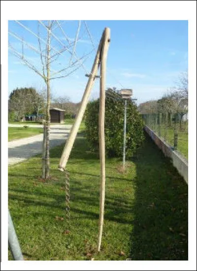 Quel est ce grand flandrin, là ?