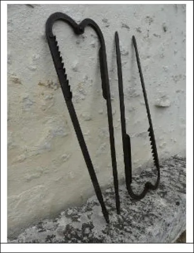 Impressionnant, non ? Et pourtant, ça ne fait pas mal du tout !