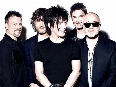 Quel est ce groupe de pop rock français fondé en 1981 par son chanteur et animateur Nicola Sirkis ?