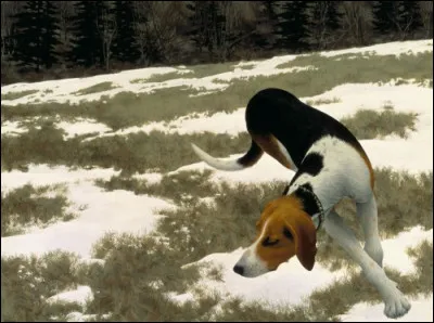 Qui a peint "Chien de chasse dans un champ" ?