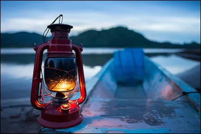 Quel est le nom de ce type de lampe ?