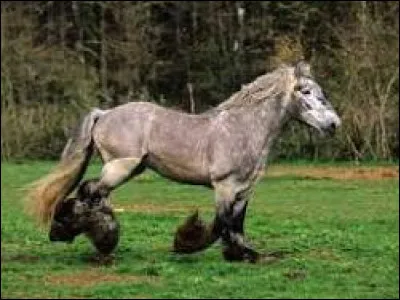 Et enfin celle-là ?