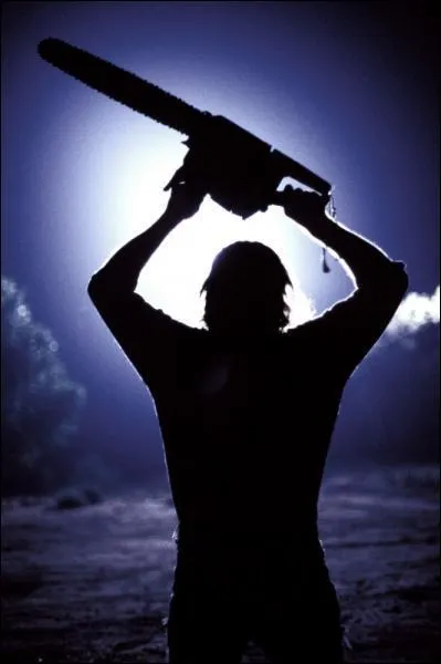 En quelle anne le film Massacre  la trononneuse est-il sorti ?