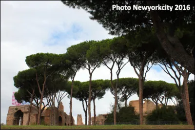 Quel est ce mont, la plus grande des 7 collines de Rome, point central et dominant de la ville, lieu de résidence des empereurs romains ?