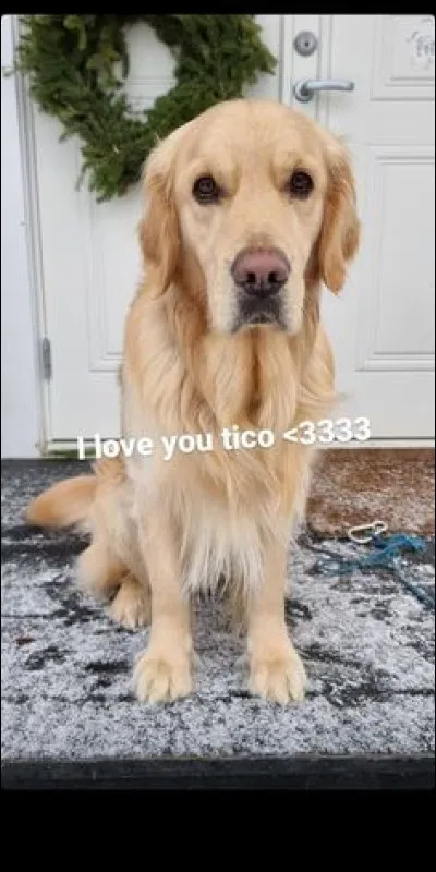 Quel est son animal préféré ?