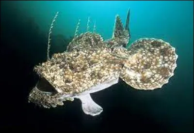 Que faut-il ajouter à "lot" pour obtenir le nom d'un poisson vivant dans les lacs ou les rivières ?