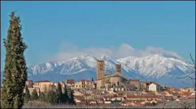 Ville occitane du Roussillon, dans l'aire d'attraction Perpignanaise, Elne se situe dans le département ...